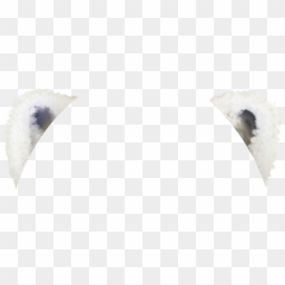 #polarbearears #ears #white #mydrawing From The Polar - Macro Photography, HD Png Download