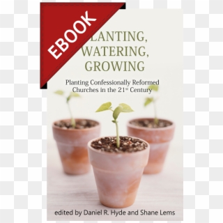Planting, Watering, Growing, HD Png Download