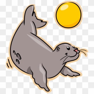 Vector Illustration Of Harbor Seal Plays Beach Volleyball - Seal Cartoon, HD Png Download