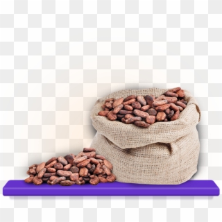 The Chocolate Maker Roasts The Beans, Stripping Them - Pinto Beans, HD Png Download