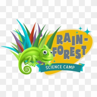 Science Camp Rainforest Transparent Image, HD Png Download