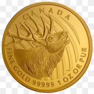 Solid Gold Background - Canadian Gold Proof Coins, HD Png Download