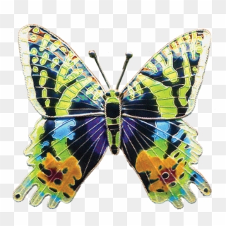 Butterflies & Moths - Papilio Machaon, HD Png Download