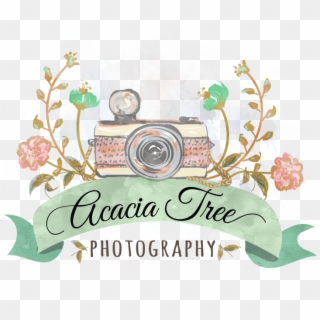 Acacia Tree Png , Png Download - Photography, Transparent Png