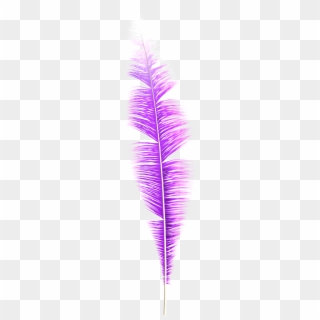 Dream Feather Png - Art, Transparent Png
