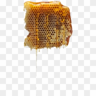 Honey Sticker - Honeycomb, HD Png Download