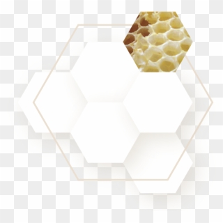 Support - Honeycomb, HD Png Download