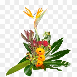 Flower Bouquet Gerbera Bird Of Paradise - Paradise Flower Png, Transparent Png