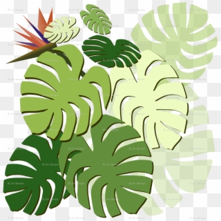 Monstera Cluster Various With Bird Of Paradise Fabric, HD Png Download