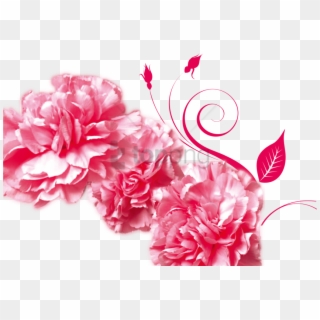 Free Png Mothers Day Gratitude Advertising Carnation - Pink Carnation, Transparent Png