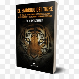 El Embrujo Del Tigre - Tiger Face, HD Png Download