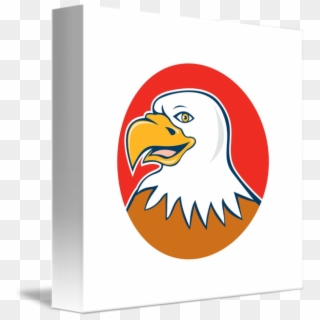 Download Png - Bald Eagle, Transparent Png