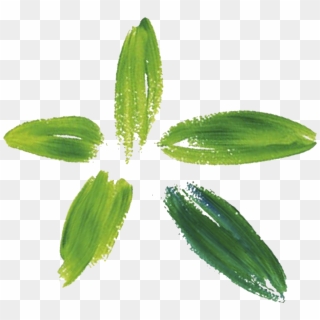 Clásicos - Corchorus, HD Png Download