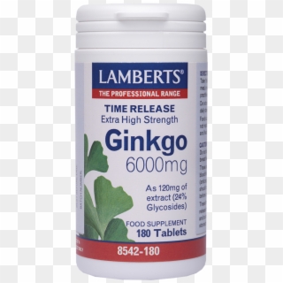 -25% Lamberts Ginkgo Biloba Extract 6000mg 180tabs - Ginkgo Biloba Lamberts, HD Png Download