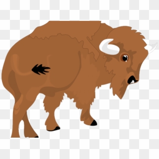 Vector Library Stock Water Buffalo Free On Dumielauxepices - Bison Clip Art Png, Transparent Png