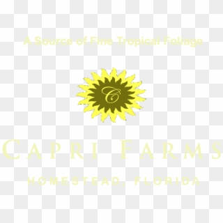 Copy Capri Farms Yellow Green Combo - Earth Hour, HD Png Download