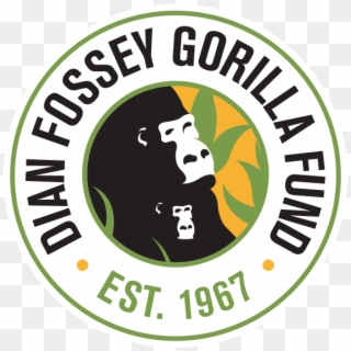 Dian Fossey Gorilla Foundation - Dian Fossey Foundation Logo, HD Png Download