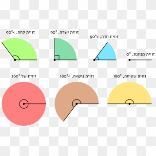 Main Types Of Angles , Png Download - Main Types Of Angles, Transparent Png