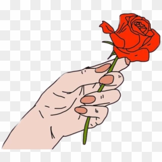 #rosa#manos #mi Novio #novia - Garden Roses, HD Png Download