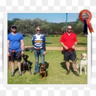 The Dog Academy Provides Domestic Obedience Classes - Companion Dog, HD Png Download