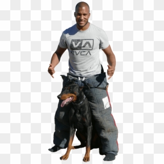 America's Best Dog Trainers /the K9 Basic School - Police Dog, HD Png Download