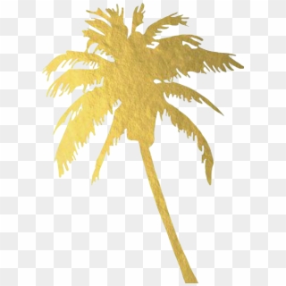 ##gold #tropical #palmtree #palmera#arbol - Gold Palm Tree Png, Transparent Png