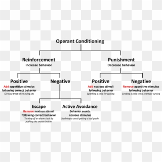 What Is 'negative Reinforcement' Definition And Real-world - Operant Conditioning, HD Png Download