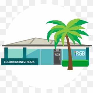 Vector Graphic Of Our Naples, Florida Web Design Office - Tropical Tree Clip Art, HD Png Download