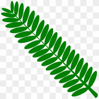 This Free Icons Png Design Of Mimosa Leaf Twig Plant - Touch Me Not Leaf, Transparent Png