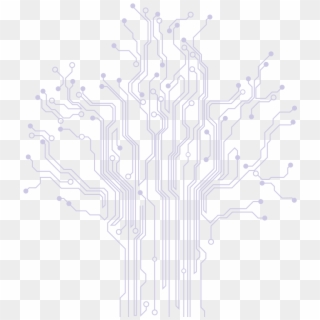 Circuit Board Tree - Sketch, HD Png Download