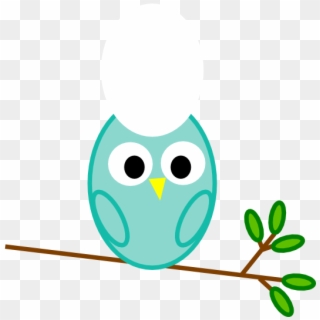 Baby Boy Owl, HD Png Download