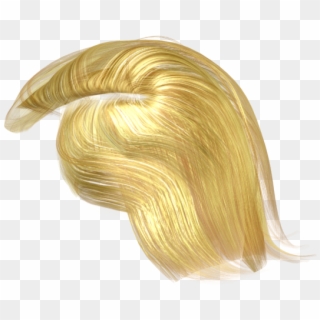 See More Details About The Full 3d Character File Format - Trump Hair Png Transparent, Png Download