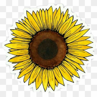 Yellow Flower Clipart Tumblr Transparent - Aesthetic Sunflower Sticker, HD Png Download