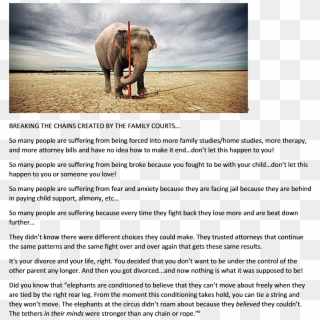 Breaking Free Of Family Court Chains Elephant 20140604 - Hippopotamus, HD Png Download