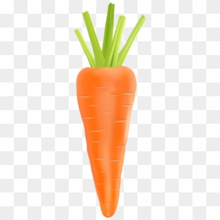 Carrots Png Purple - Carrot Red, Transparent Png - 1594x1177(#2392016 ...