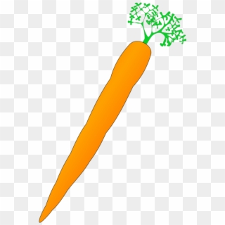 Carrots8 Png - Carrot Clip Art, Transparent Png