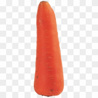 925 X 2933 2 - 1 Carrot, HD Png Download
