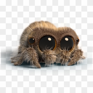 Youtube Partners With Teespring To Help Creators Sell - Cute Lucas The Spider, HD Png Download