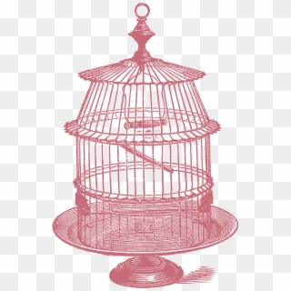 Jpeg - The Birdcage, HD Png Download