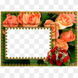 Abstract Floral Frame Png - Hd Flower Photo Frame, Transparent Png