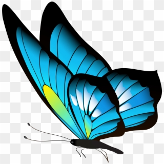 Png Clip Art Gallery Yopriceville High Quality - Butterfly Png, Transparent Png