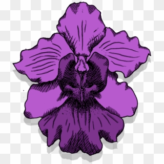 Singapore National Flower Png - Singapore National Flower Icon, Transparent Png
