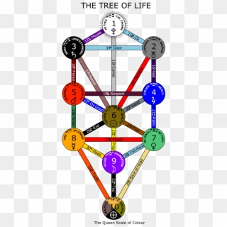 Tree Of Life Queens Colours - Tree Of Life Major Arcana, HD Png Download