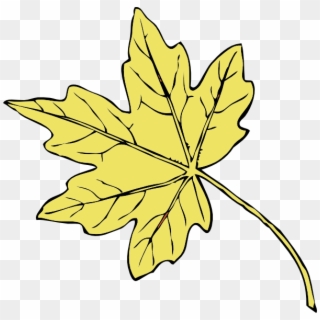 Gold Maple Leaf Clip Art - Thanksgiving Leaf Clip Art, HD Png Download