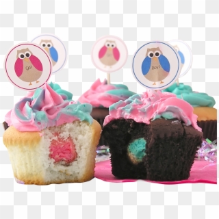 Baby Owl Cupcakes, HD Png Download