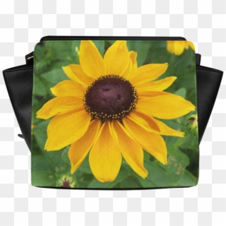 Sunflower, HD Png Download