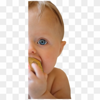 Baby, HD Png Download