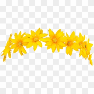 #stickers #edit #edits #png #head #face #pic #photo - Sunflower Flower Crown Png, Transparent Png