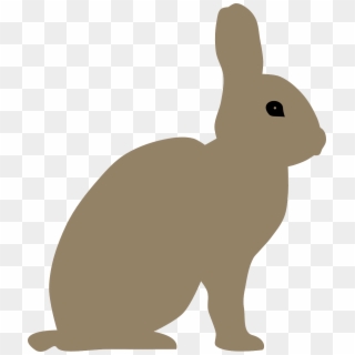 Vector Graphics,free Pictures, Free - Grey Bunny Rabbit Clipart Transparent, HD Png Download