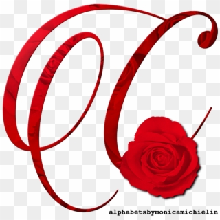 Alfabeto Rosa Vermelha Png, Red Rose Alphabet - Garden Roses, Transparent Png